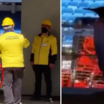 (VIDEO) Pingvini se pojavili na Santiago Bernabeu