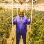 Neobična ponuda za Mikea Tysona iz Afrike