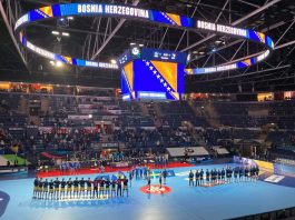 BiH će u roku od 10 dana dobiti novog selektora