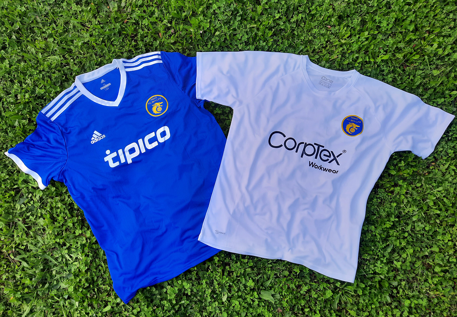 dres-fc-bih-linz-2