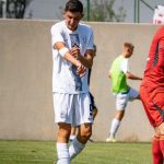 Arman ih podsjeća na našeg Edina Džeku