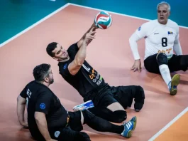 Reprezentacija BiH u finalu Svjetskog prvenstva