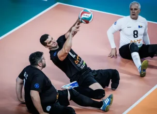 Reprezentacija BiH u finalu Svjetskog prvenstva
