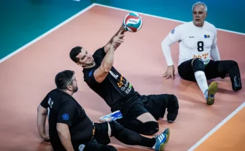 Reprezentacija BiH u finalu Svjetskog prvenstva