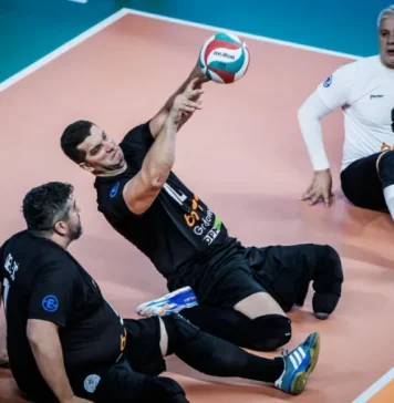Reprezentacija BiH u finalu Svjetskog prvenstva
