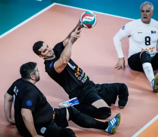 Reprezentacija BiH u finalu Svjetskog prvenstva