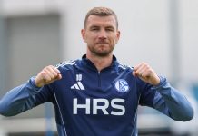 Evo zašto Džeko još nije potpisao za Schalke