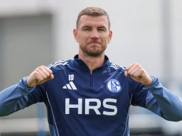 Evo zašto Džeko još nije potpisao za Schalke