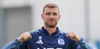 Evo zašto Džeko još nije potpisao za Schalke