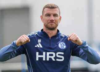 Evo zašto Džeko još nije potpisao za Schalke