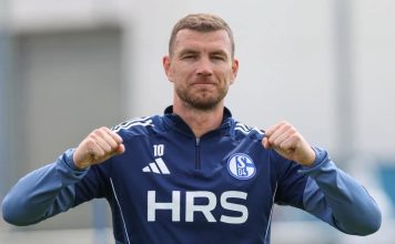 Evo zašto Džeko još nije potpisao za Schalke