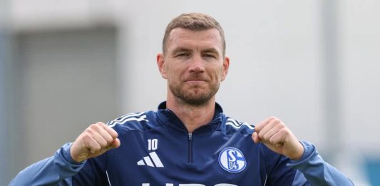 Evo zašto Džeko još nije potpisao za Schalke