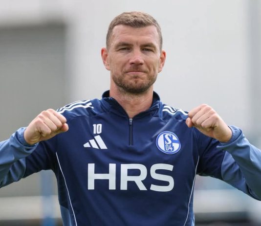 Evo zašto Džeko još nije potpisao za Schalke