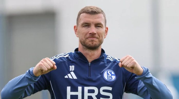 Evo zašto Džeko još nije potpisao za Schalke